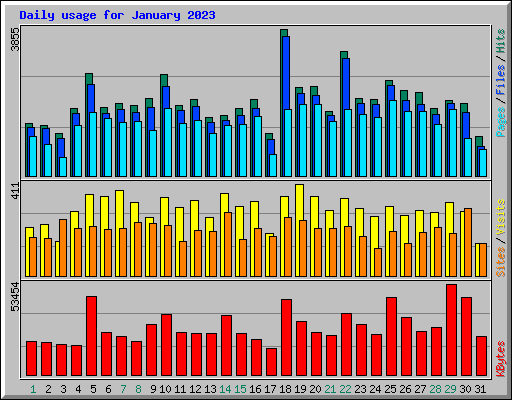 Daily usage for January 2023