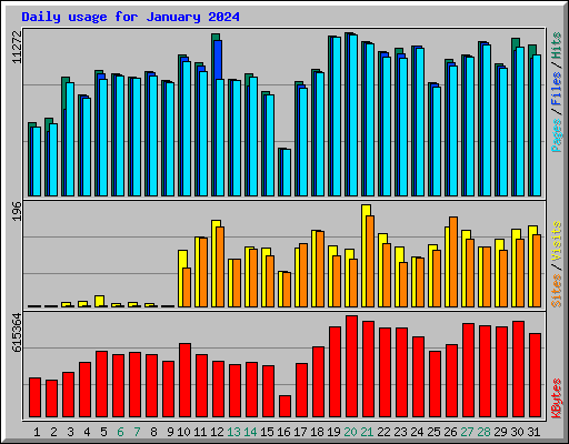 Daily usage for January 2024