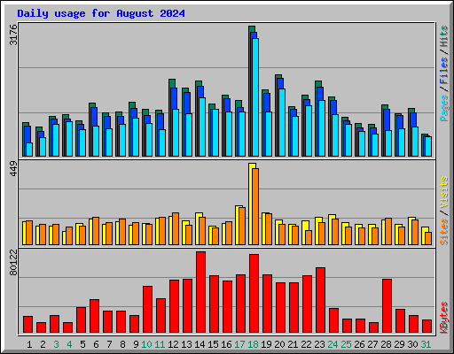 Daily usage for August 2024