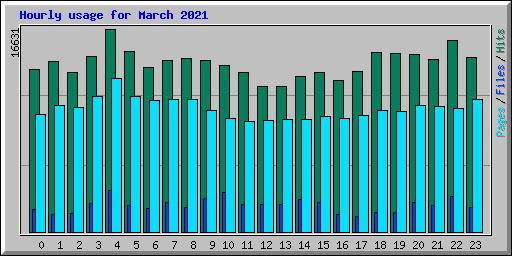 Hourly usage for March 2021