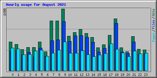 Hourly usage for August 2021