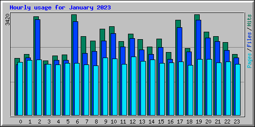 Hourly usage for January 2023