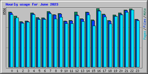 Hourly usage for June 2023