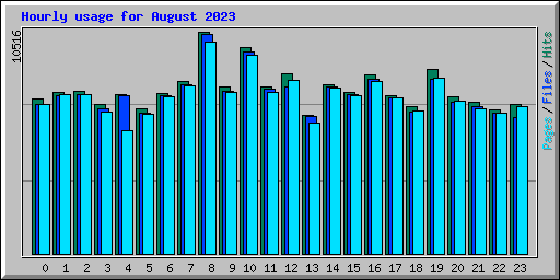 Hourly usage for August 2023