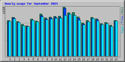 Hourly usage for September 2023