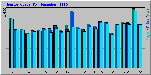 Hourly usage for December 2023