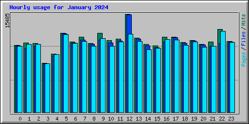 Hourly usage for January 2024