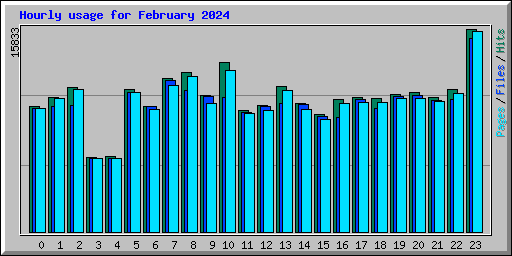 Hourly usage for February 2024