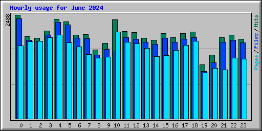 Hourly usage for June 2024