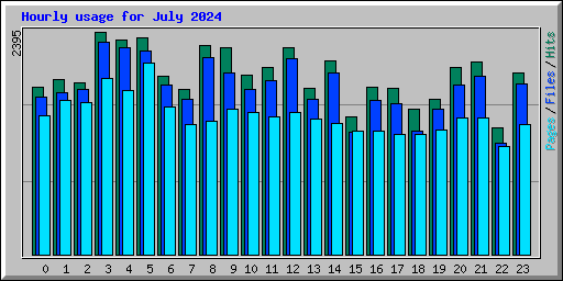 Hourly usage for July 2024