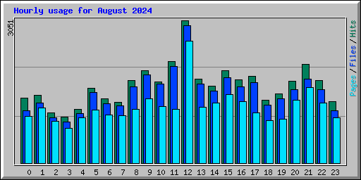 Hourly usage for August 2024