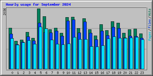 Hourly usage for September 2024