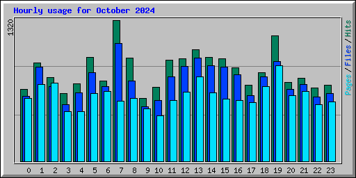 Hourly usage for October 2024